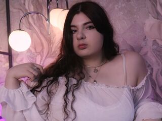 free live webcam video SienaWess