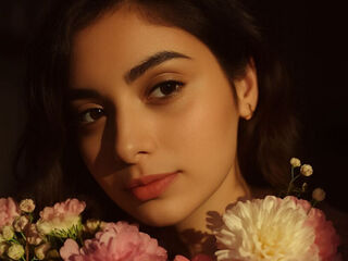 beautiful webcamgirl ZaylaAmin