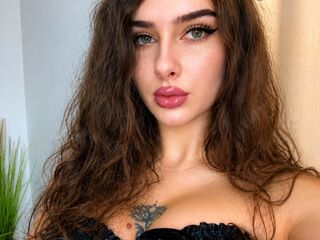 free live webcam picture SienaStone