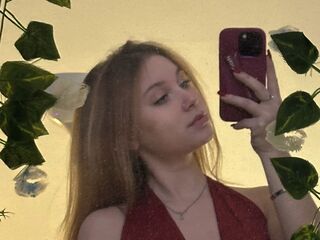 livecam picture StephenWeinzetl